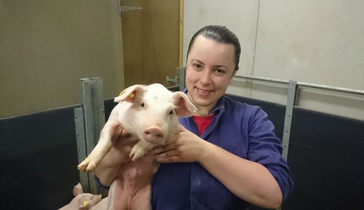 Dr Jolinda Pollock holding a piglet 