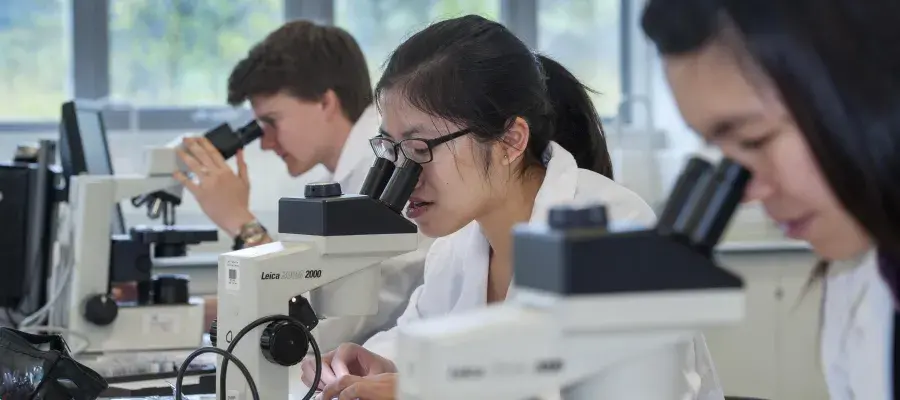 Students using microscopes