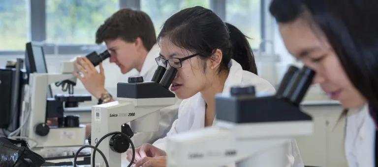 Students using microscopes