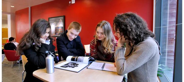 Image for 3rd Sector Internships