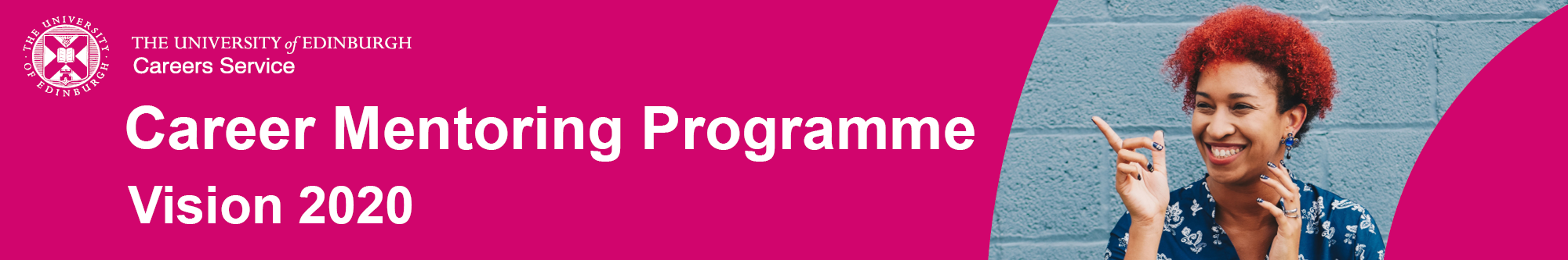 Career Mentoring Programme Vision 2020